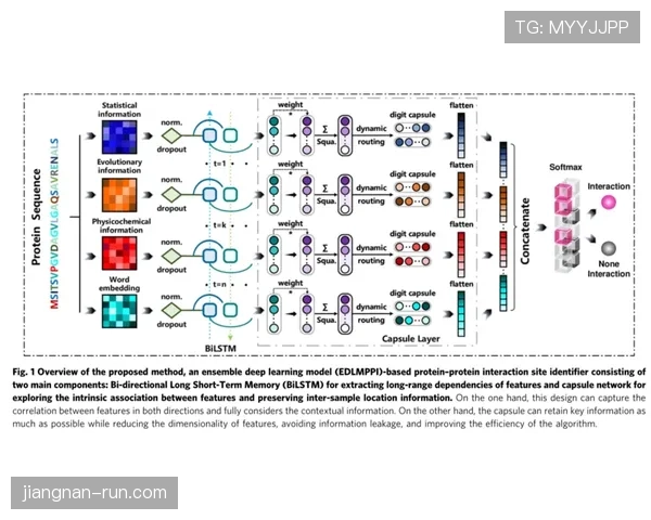 居莱尔与杜埃：技术型新星的进攻效率差异及战术适配机制解析